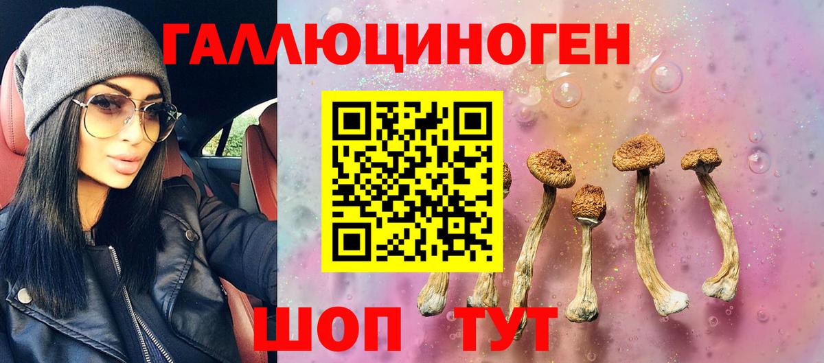 Братск  как найти закладки  Вход с VPN  Галлюциногенные грибы Cubensis 